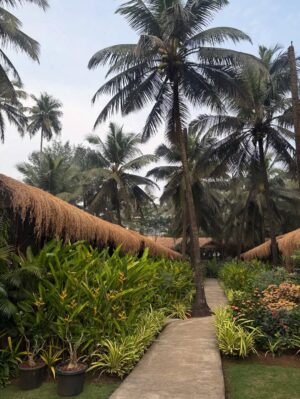 Anjali Sivaraman Instagram - Another day in paradise ❤️🥰🍹
@palmagoa @ashwe351 

Thanks for making this happen @anukriti_rathore 🫶🏾🫶🏾