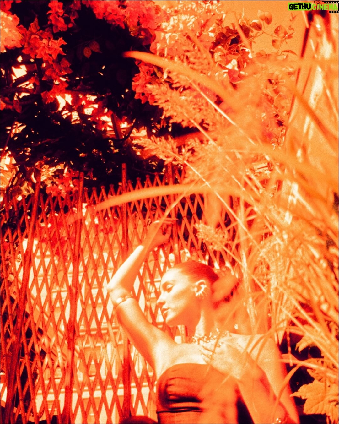 Anjelica Bette Fellini - 1.8K Likes - EVANGELIA X THE ARTIST STAY 

sponsored by @wavawater shot at @walkerhotels
special thanks to @jillianrothman