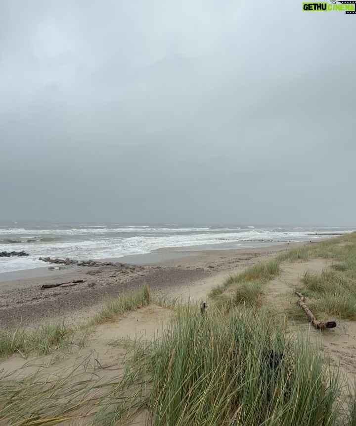 Anne Hjernøe - 2.2K Likes - Blev #inviteret på weekend i Skagen af @colorhotelskagen Dejligste mad, skønneste suite & bedste selskab. Storm, regn, sol, blæst, elsker Skagen i al slags vejr☀️🌊🌪️☔️ #inviteret #reklame PS. Bilen på første foto er ikke min, men bare begejstring over at verdens bedste @ditsen også var i området🥰