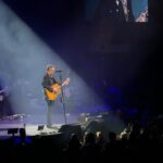 Anneliese Judge
