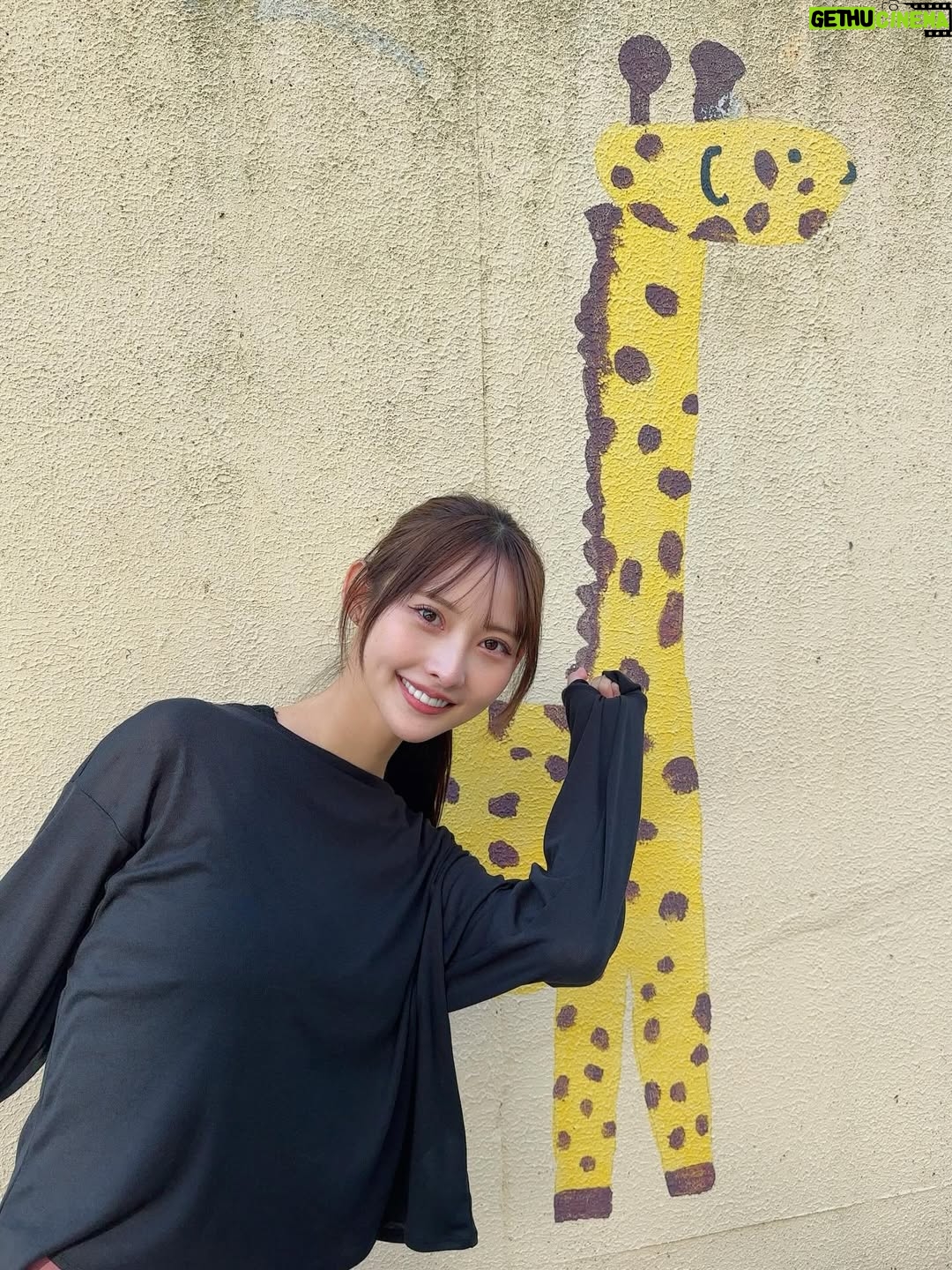 Anon - 5.8K Likes - テレビ朝日「 #全力坂 」に
　#べっぴん荘 のアノン✨と凪✨が走って来たよー！
どこの坂でしょうかー✌️お楽しみに➖🎶
💃凪👉12月15日(月)
👓アノン👉12月16日(火)
どちらも深夜1:20〜1:26放送予定！

#全力坂 #べっぴん荘