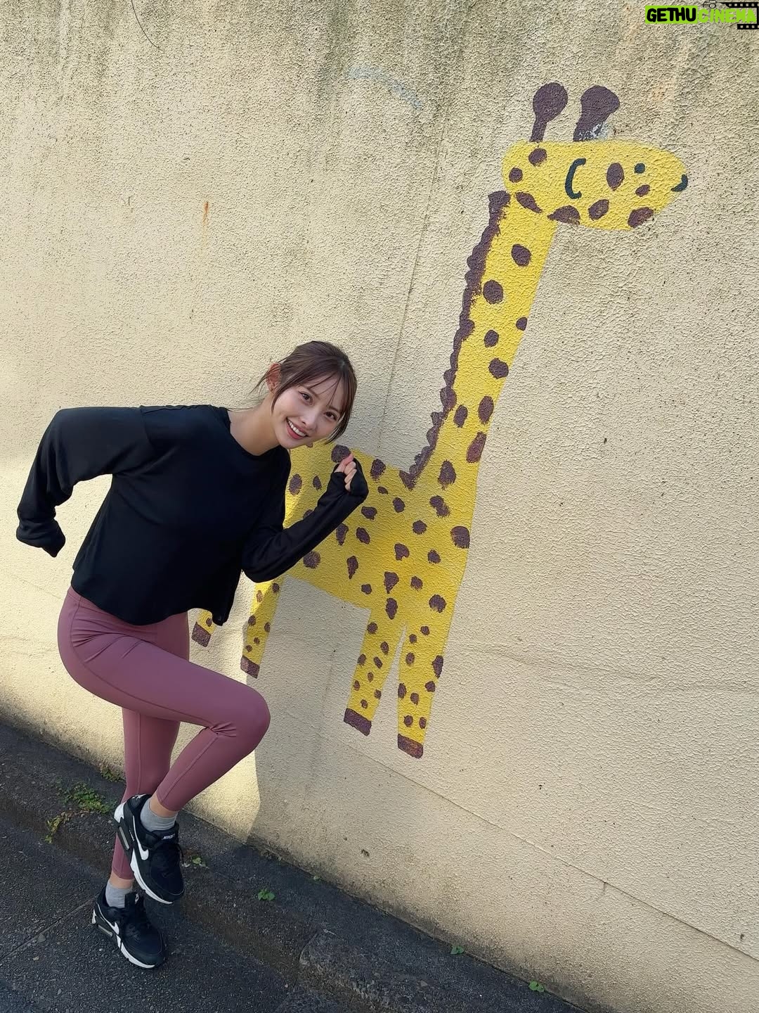 Anon - 5.8K Likes - テレビ朝日「 #全力坂 」に
　#べっぴん荘 のアノン✨と凪✨が走って来たよー！
どこの坂でしょうかー✌️お楽しみに➖🎶
💃凪👉12月15日(月)
👓アノン👉12月16日(火)
どちらも深夜1:20〜1:26放送予定！

#全力坂 #べっぴん荘