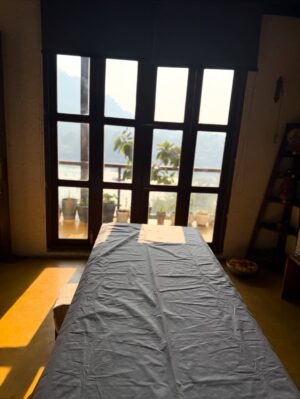 Anumol Instagram - A day at Rishikesh 🤍
I didn’t explore much. I came here with no plans just decided to surrender to the place and flow with it. Got to know the city a little, experienced the Ganga, and honestly, that felt enough.
Also, had to mention @bemonkwellness food was amazing, so tasty, and felt like proper healthy food so delicious and looked nice also. So comforting. Loved the ambience, the yoga space, and especially that balcony at the restaurant area🤍 
This day is only about roaming around Lakshman Jula, Ganga Arti and food.. Back home play time with Kanmani, Leela & Yoda. Some places don’t need rushing. They just need feeling 🧿
