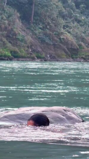 Anumol Instagram - Har har Gange ! 

Ganga Snanam 🙏🧿🧿