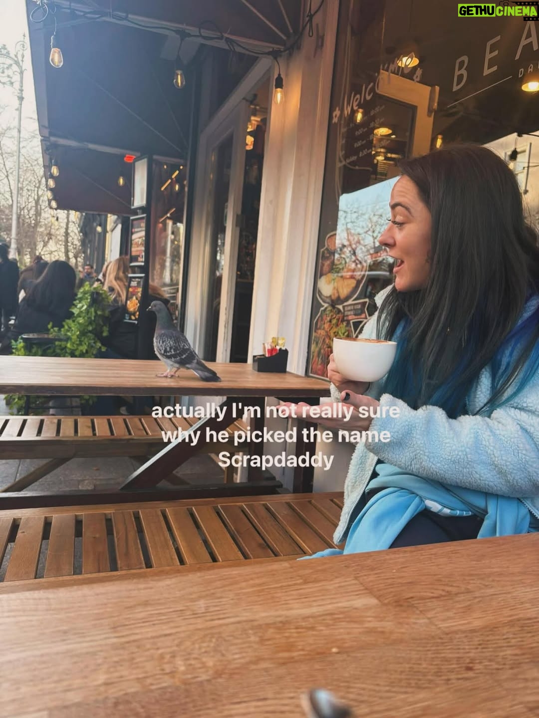 Aoife Cusack - 31.6K Likes - My pal would like to know @scrapdaddyap ☕️