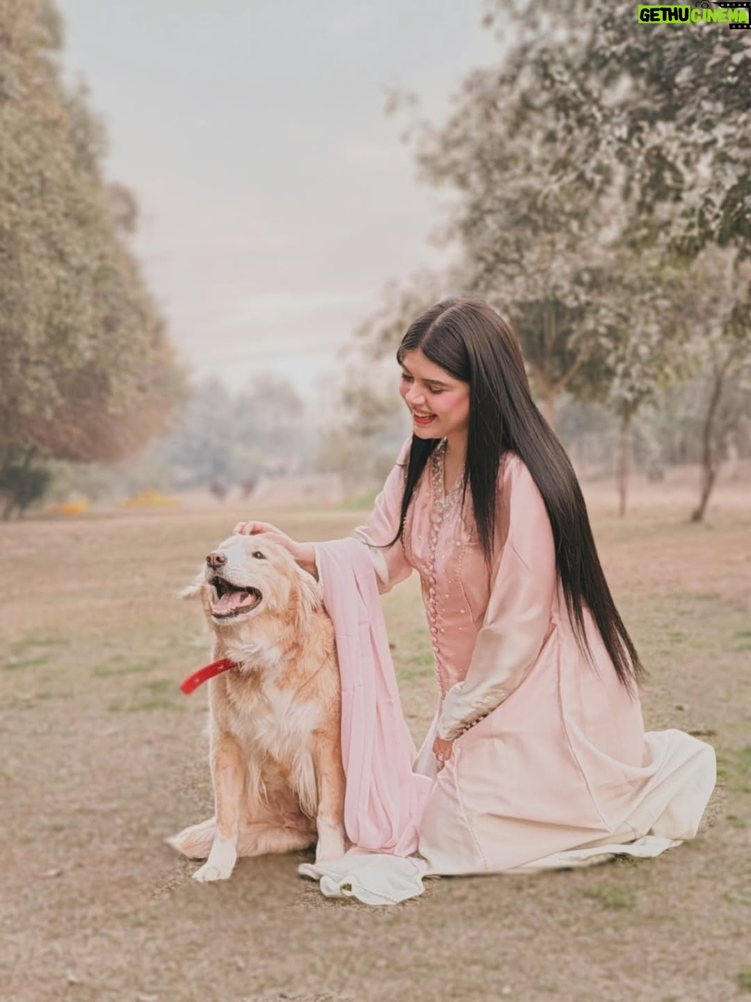 Arooba Batool - 23.4K Likes - I have a really sad news to share.

There’s a kind of pain that doesn’t scream. It just quietly sits in your chest and makes it hard to breathe.
Today, I’m carrying one of those pains.

My sweet Bella, the soul I once adopted into my arms, has been diagnosed with cancer.

Since the day I got pregnant, she changed. As if she knew. She became my shadow, my silent guard, my constant. She doesn’t leave my side for a second. Follows me from room to room. Watches over me with a love so pure it feels almost unreal. On days I’m tired, she’s there. On nights I’m restless, she’s there. No questions. No conditions. Just love.

It breaks my heart to say this, but my deepest prayer right now is simple:
I pray she lives long enough to meet the baby she has protected so fiercely, without ever being asked to. I pray she gets to see the little life she stood guard over with her whole heart.

I don’t know how much time we have left together. That uncertainty hurts more than words can explain. But I do know this: every single day she has left will be filled with warmth, gentleness, and love beyond measure. She will never know fear. She will never feel alone.

Some souls come into our lives not for a lifetime, but to change us forever.
Bella, you already have. And no matter what comes next, you will always be my brave girl, my protector, my quiet miracle. 🤍