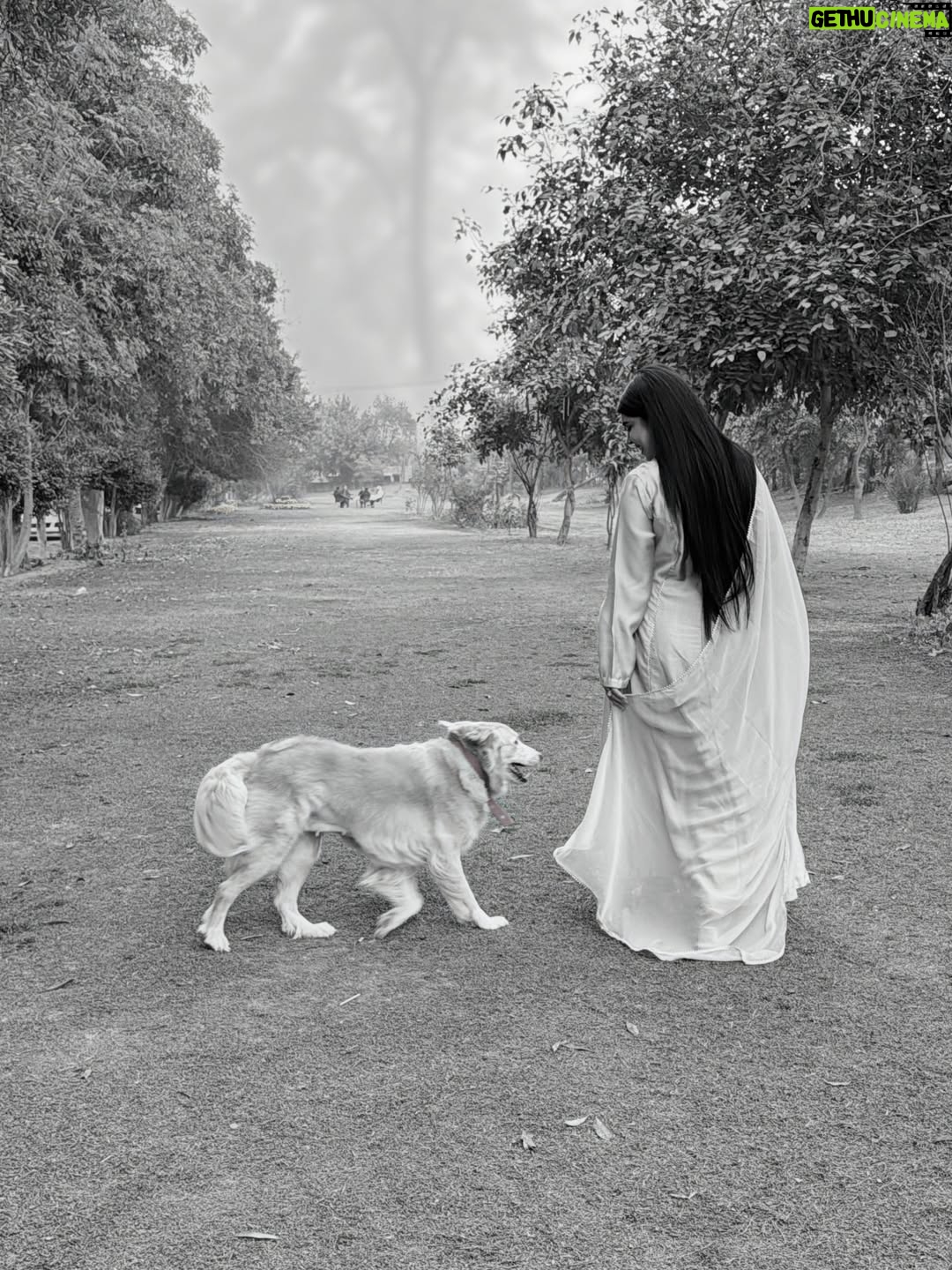 Arooba Batool - 23.4K Likes - I have a really sad news to share.

There’s a kind of pain that doesn’t scream. It just quietly sits in your chest and makes it hard to breathe.
Today, I’m carrying one of those pains.

My sweet Bella, the soul I once adopted into my arms, has been diagnosed with cancer.

Since the day I got pregnant, she changed. As if she knew. She became my shadow, my silent guard, my constant. She doesn’t leave my side for a second. Follows me from room to room. Watches over me with a love so pure it feels almost unreal. On days I’m tired, she’s there. On nights I’m restless, she’s there. No questions. No conditions. Just love.

It breaks my heart to say this, but my deepest prayer right now is simple:
I pray she lives long enough to meet the baby she has protected so fiercely, without ever being asked to. I pray she gets to see the little life she stood guard over with her whole heart.

I don’t know how much time we have left together. That uncertainty hurts more than words can explain. But I do know this: every single day she has left will be filled with warmth, gentleness, and love beyond measure. She will never know fear. She will never feel alone.

Some souls come into our lives not for a lifetime, but to change us forever.
Bella, you already have. And no matter what comes next, you will always be my brave girl, my protector, my quiet miracle. 🤍