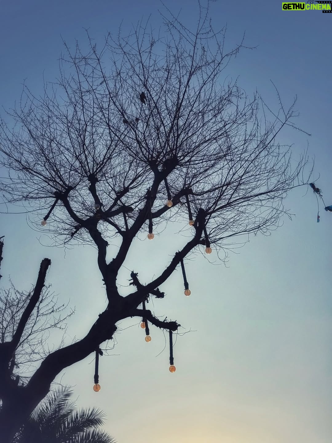 Arshina Sumbul - 1.9K Likes - Vibes 2026✨💘
.
.
.
.
#happynewyear #2026goals 
#ootd #pushkartravel