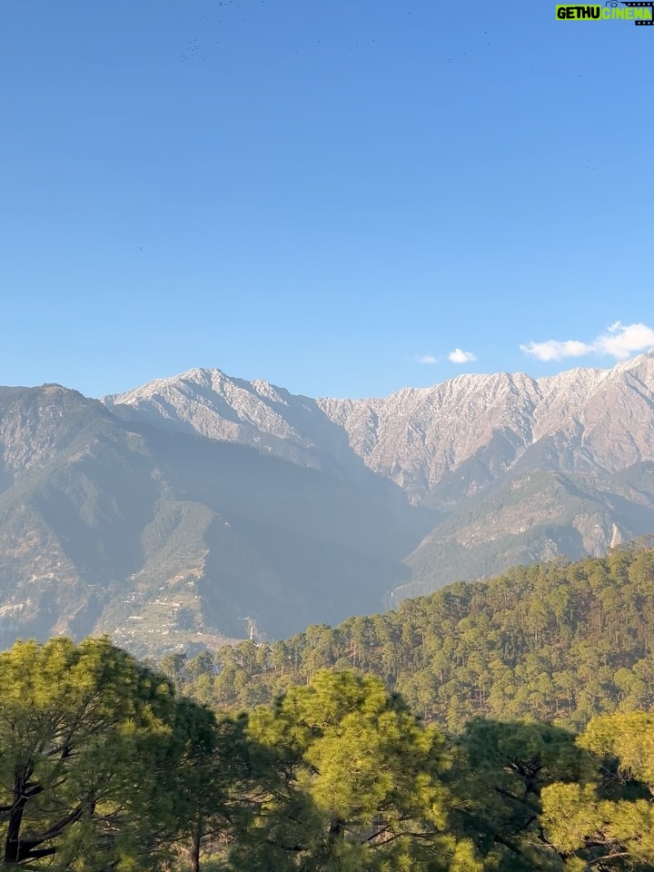 Arushi Sharma - 38.5K Likes - Dhauladhar🗻
