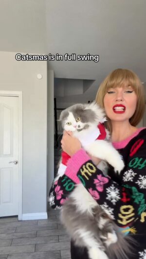 Ashley Leechin Instagram - Catsmas is the most wonderful time of the yeaaarr and she is a little showgirl/cat hehe 😻

#blondie #itsjustashley #catsmas #cats #tloas #christmasseason #catfashion