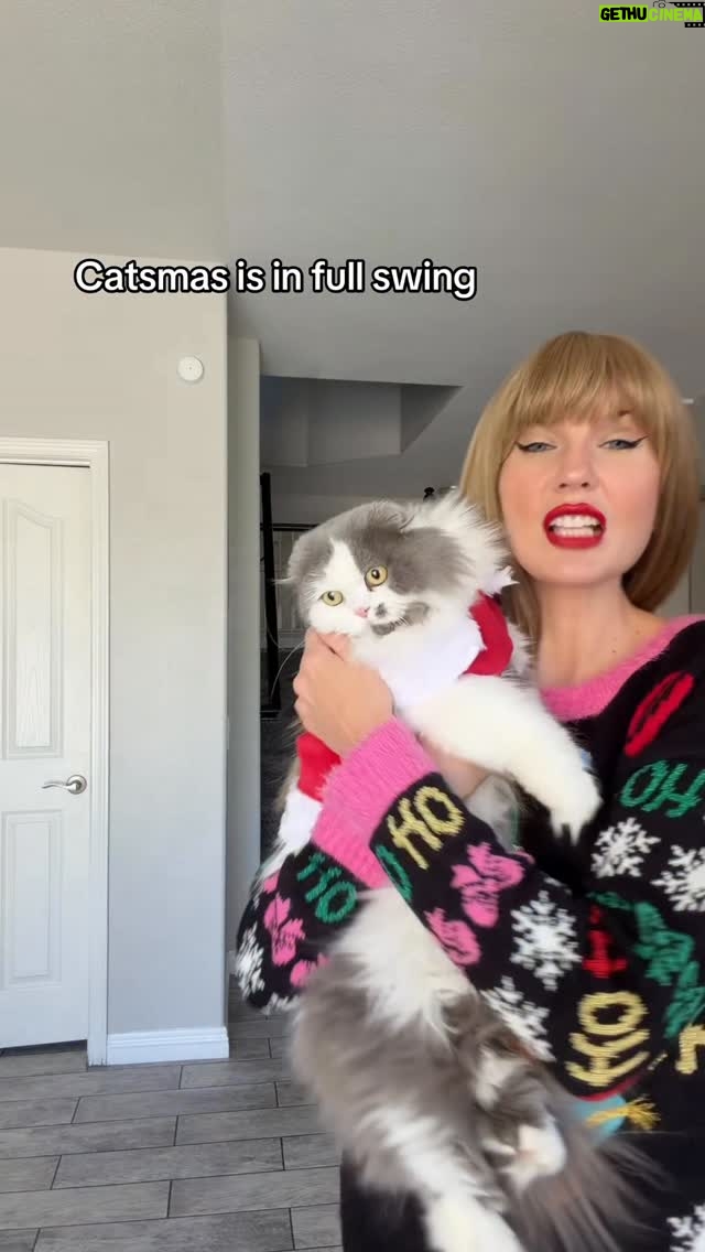Ashley Leechin - 19.3K Likes - Catsmas is the most wonderful time of the yeaaarr and she is a little showgirl/cat hehe 😻

#blondie #itsjustashley #catsmas #cats #tloas #christmasseason #catfashion
