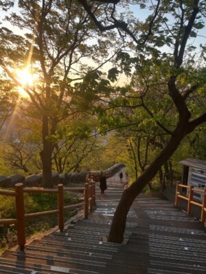 Asiya Firdose Instagram - 💜🔐
@thejohnsons_______
.
#seoul #korea #travel #asiyafirdose #actor #lovelock #nseoultower #southkorea