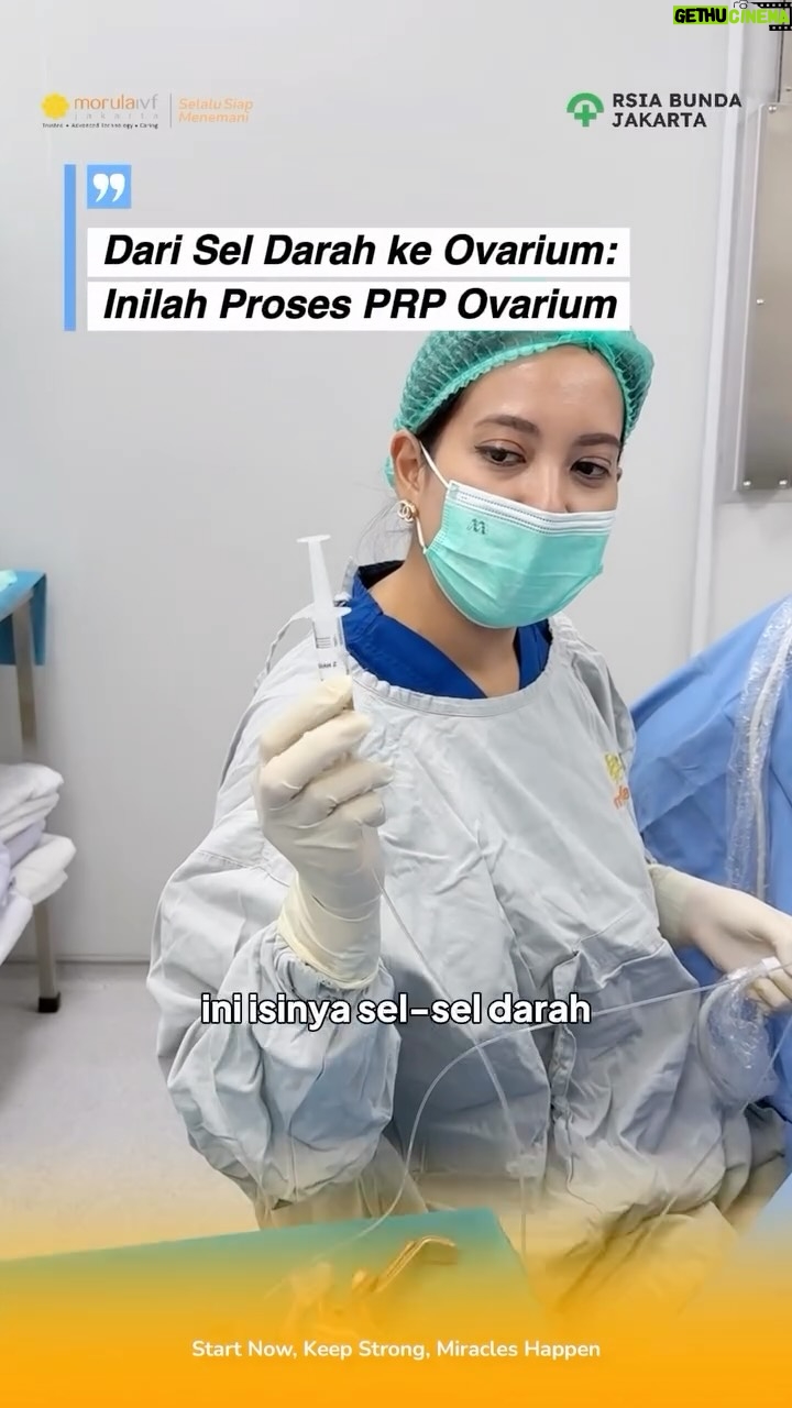 Asmirandah - 1.7K Likes - PRP (Platelet-Rich Plasma) Ovarium dalam program IVF berfungsi untuk mengembalikan fungsi indung telur semaksimal mungkin 🥚🧡

Yuk ikuti treatment PRP Ovarium Mom @asmirandah89 bersama dr. @merryamelya_ps 😍🤗

𝑺𝒕𝒂𝒓𝒕 𝑵𝒐𝒘, 𝑲𝒆𝒆𝒑 𝑺𝒕𝒓𝒐𝒏𝒈, 𝑴𝒊𝒓𝒂𝒄𝒍𝒆𝒔 𝑯𝒂𝒑𝒑𝒆𝒏

Salam dua garis |=|

#MorulaIVFJakarta #BayiTabung #InVitroFertilization #SelaluSiapMenemani