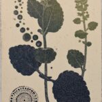 August Kamp