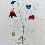 August Kamp