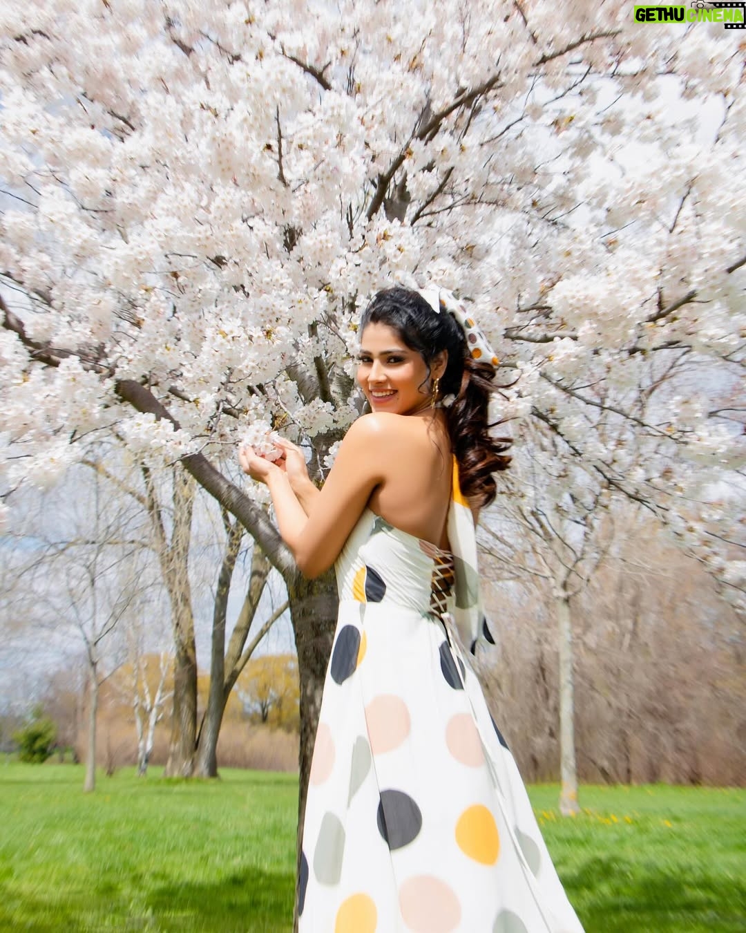 Ayra Bansal - 97K Likes - CherryBossom 🌸🌸 
 #cherryblossom #toronto #canada #actor #ayrabansal #mumbaiindians #india #newpost