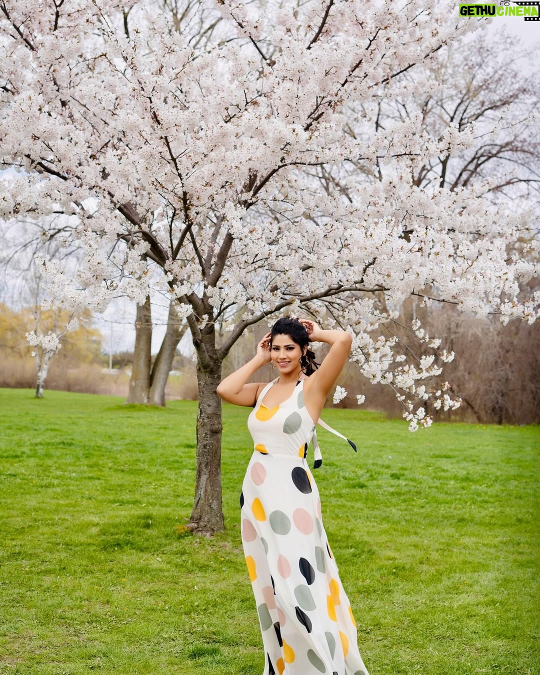 Ayra Bansal - 97K Likes - CherryBossom 🌸🌸 
 #cherryblossom #toronto #canada #actor #ayrabansal #mumbaiindians #india #newpost