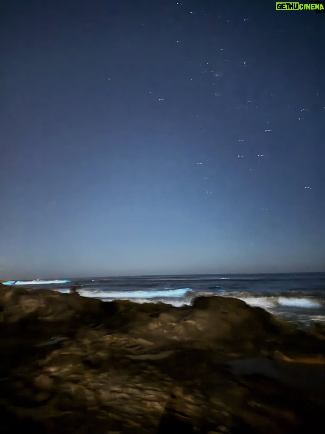 Bárbara Lombardo - 20.4K Likes - Sal, pelo, papas fritas, mates, mar, noctilucas, amigxs, estrellas, sol, nubes, arena, rezar, silencio, piel, respirar...
🇺🇾☀️🩷