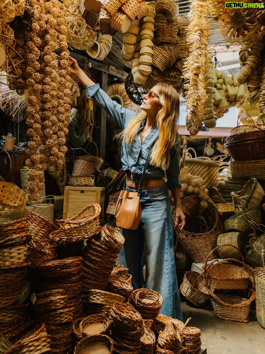 Bárbara Lombardo - 13K Likes - Flores, hierbas medicinales y artesanías. Fan declarada del Mercado 4 de Asunción, Paraguay 🌿✨ @saltanpepajeans 🫶🏻
•
•
Ph @erwinbuka