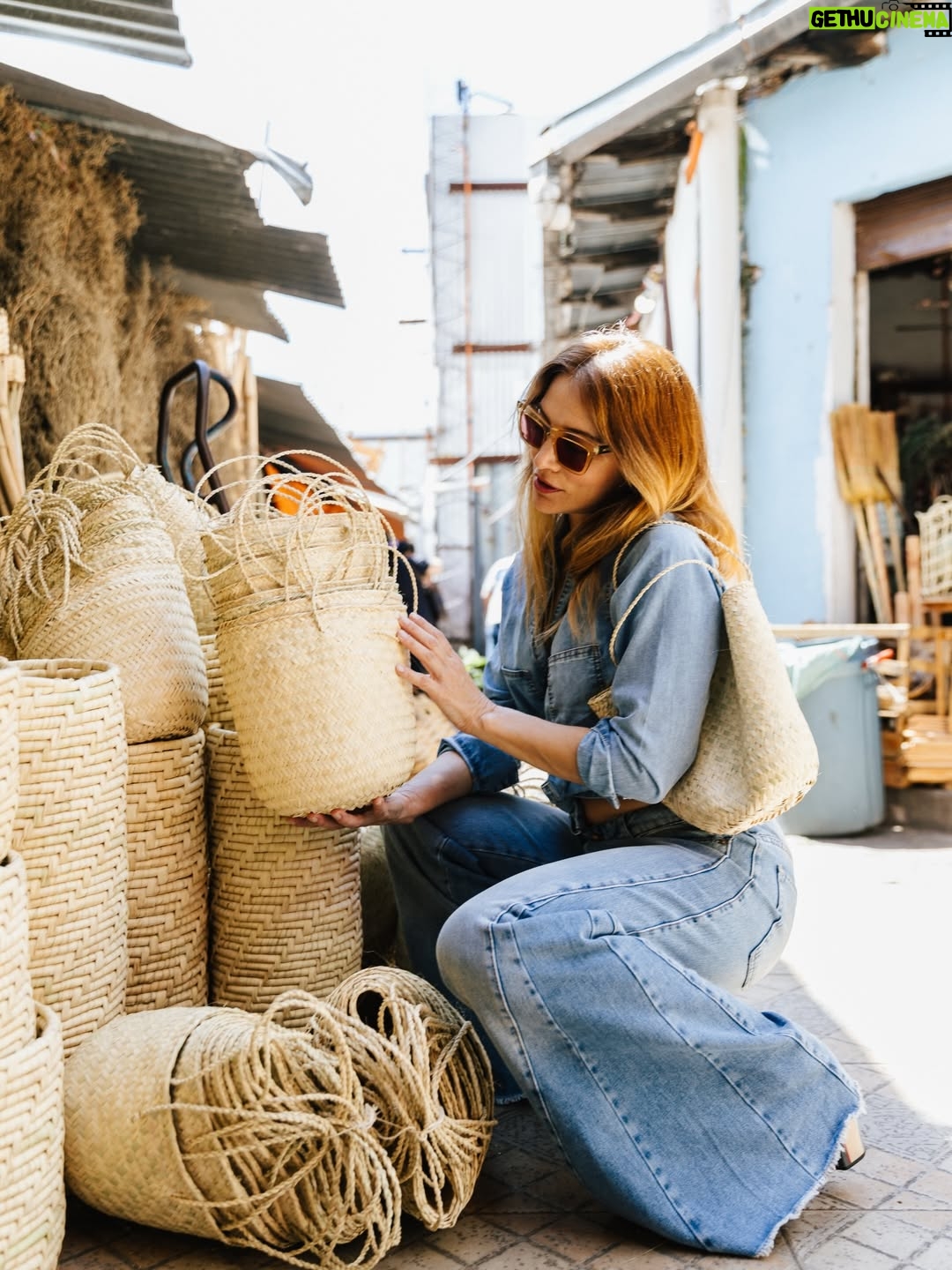 Bárbara Lombardo - 13K Likes - Flores, hierbas medicinales y artesanías. Fan declarada del Mercado 4 de Asunción, Paraguay 🌿✨ @saltanpepajeans 🫶🏻
•
•
Ph @erwinbuka