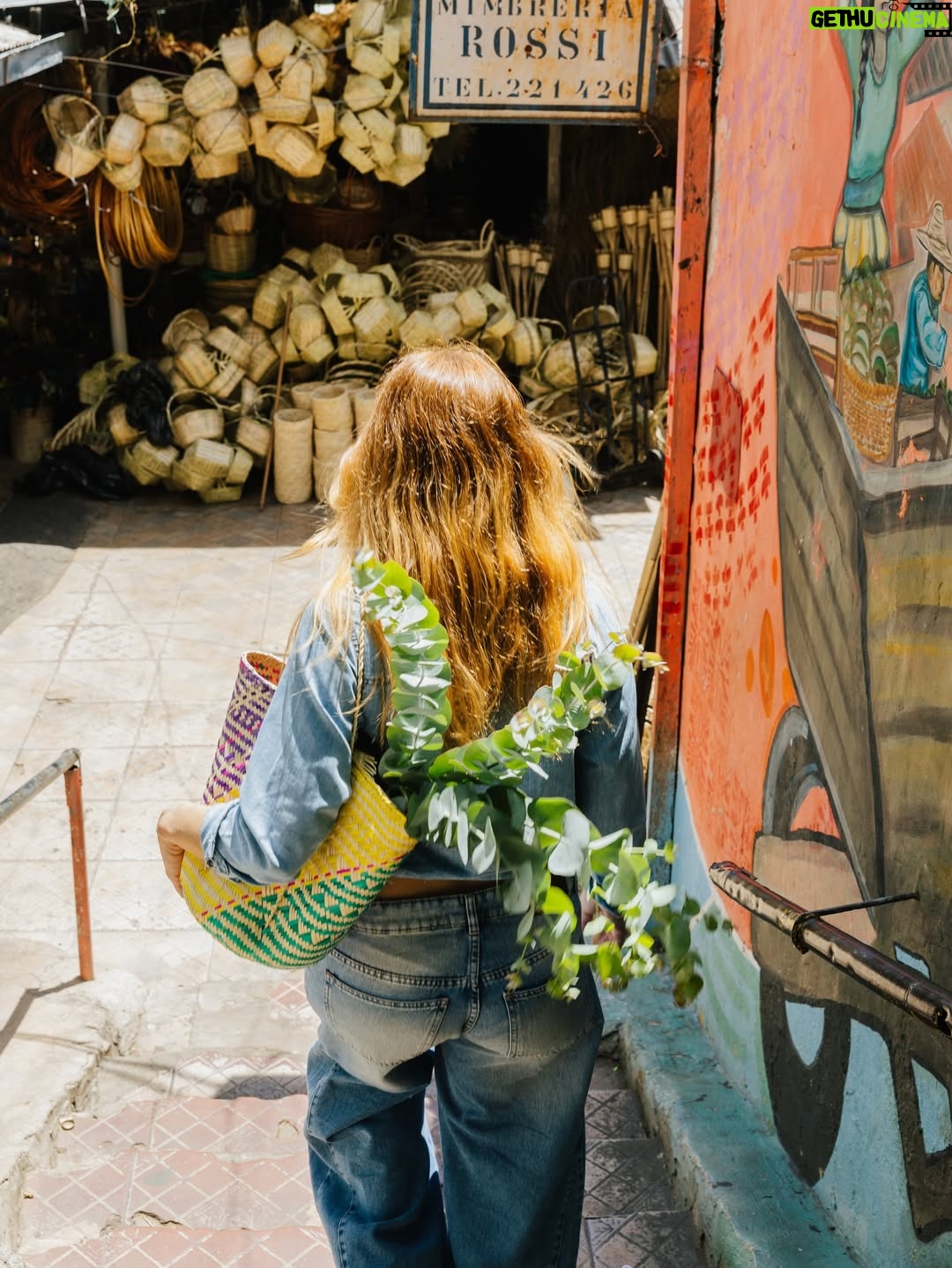 Bárbara Lombardo - 13K Likes - Flores, hierbas medicinales y artesanías. Fan declarada del Mercado 4 de Asunción, Paraguay 🌿✨ @saltanpepajeans 🫶🏻
•
•
Ph @erwinbuka