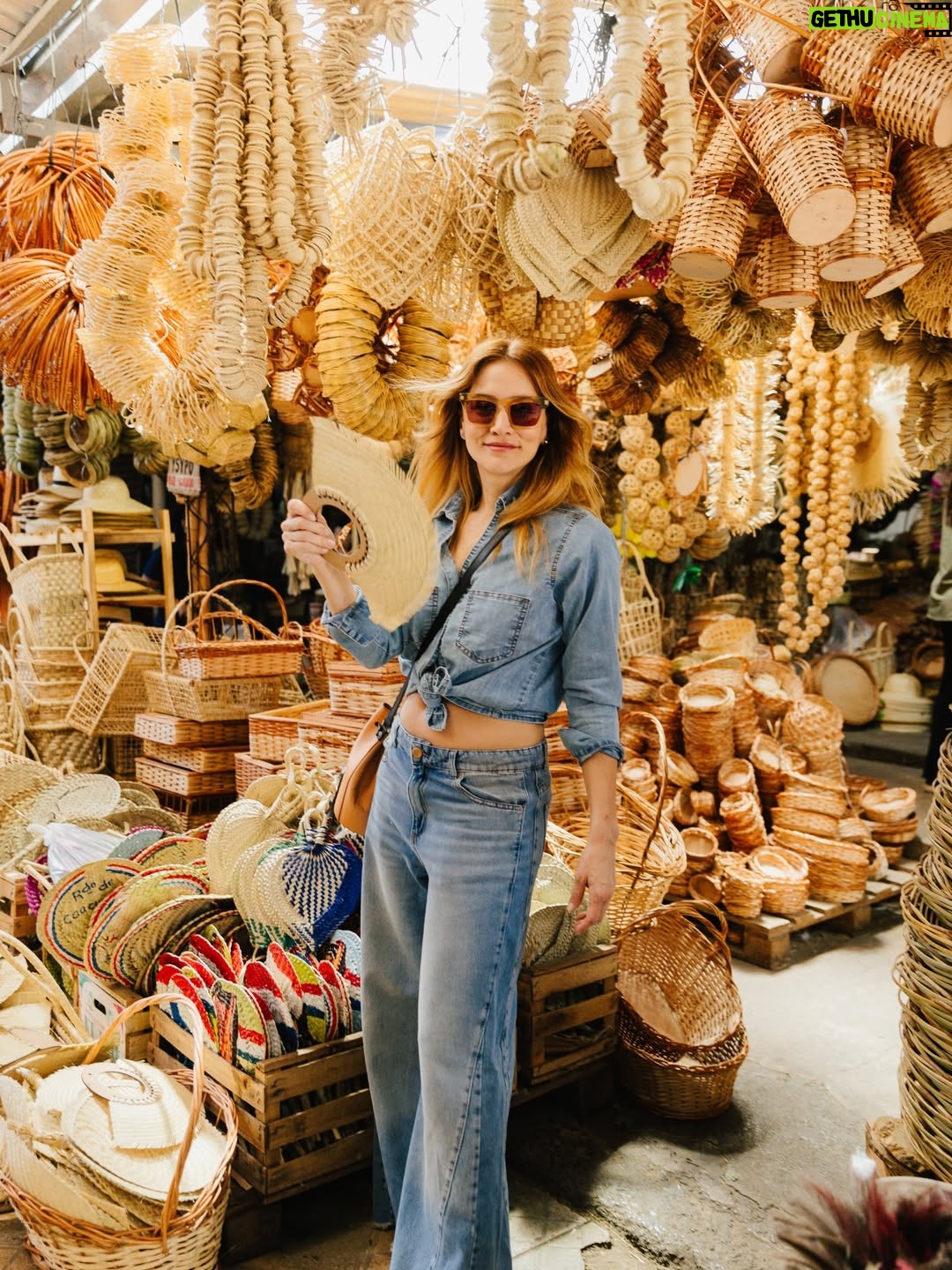 Bárbara Lombardo - 13K Likes - Flores, hierbas medicinales y artesanías. Fan declarada del Mercado 4 de Asunción, Paraguay 🌿✨ @saltanpepajeans 🫶🏻
•
•
Ph @erwinbuka