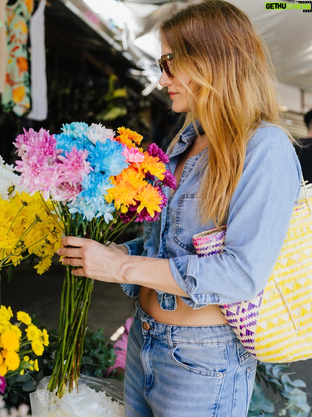 Bárbara Lombardo - 13K Likes - Flores, hierbas medicinales y artesanías. Fan declarada del Mercado 4 de Asunción, Paraguay 🌿✨ @saltanpepajeans 🫶🏻
•
•
Ph @erwinbuka