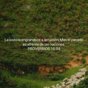 Bárbara Palacios Instagram - Hoy alzamos la voz por cada preso político en Venezuela, por cada familia que ha esperado años con el corazón quebrantado y la fe firme. La liberación no es solo abrir una celda, es devolver dignidad, justicia y verdad a una nación que ha sufrido demasiado.

Aunque el dolor ha sido largo, creemos que ningún sistema injusto es eterno y que DIOS sigue viendo cada lágrima derramada en silencio.

“Jehová es el que hace justicia Y derecho a todos los que padecen violencia.”
‭‭Salmos‬ ‭103‬:‭6‬ ‭ (RVR1960‬‬)

“Porque yo sé los pensamientos que tengo acerca de vosotros, dice Jehová,
pensamientos de paz, y no de mal,
para daros el fin que esperáis.”
Jeremías 29:11(RVR1960)

“La justicia engrandece a la nación;
mas el pecado es afrenta de las naciones.”
Proverbios 14:34 (RVR1960)

Que la liberación de los presos políticos sea el principio de un cambio verdadero. Oremos para que Venezuela vuelva a levantarse sobre la verdad, la justicia y la libertad.

Seguimos creyendo, seguimos orando y seguimos esperando, porque DIOS nunca llega tarde y la historia aún no ha terminado. 🇻🇪🙏🏻❤️

#liberenatodoslospresospolíticos #PresosPoliticos #VenezuelaLibre #Venezuela #GloriaADios