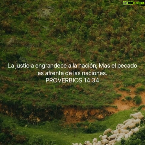 Bárbara Palacios - 3 Likes - Hoy alzamos la voz por cada preso político en Venezuela, por cada familia que ha esperado años con el corazón quebrantado y la fe firme. La liberación no es solo abrir una celda, es devolver dignidad, justicia y verdad a una nación que ha sufrido demasiado.

Aunque el dolor ha sido largo, creemos que ningún sistema injusto es eterno y que DIOS sigue viendo cada lágrima derramada en silencio.

“Jehová es el que hace justicia Y derecho a todos los que padecen violencia.”
‭‭Salmos‬ ‭103‬:‭6‬ ‭ (RVR1960‬‬)

“Porque yo sé los pensamientos que tengo acerca de vosotros, dice Jehová,
pensamientos de paz, y no de mal,
para daros el fin que esperáis.”
Jeremías 29:11(RVR1960)

“La justicia engrandece a la nación;
mas el pecado es afrenta de las naciones.”
Proverbios 14:34 (RVR1960)

Que la liberación de los presos políticos sea el principio de un cambio verdadero. Oremos para que Venezuela vuelva a levantarse sobre la verdad, la justicia y la libertad.

Seguimos creyendo, seguimos orando y seguimos esperando, porque DIOS nunca llega tarde y la historia aún no ha terminado. 🇻🇪🙏🏻❤️

#liberenatodoslospresospolíticos #PresosPoliticos #VenezuelaLibre #Venezuela #GloriaADios
