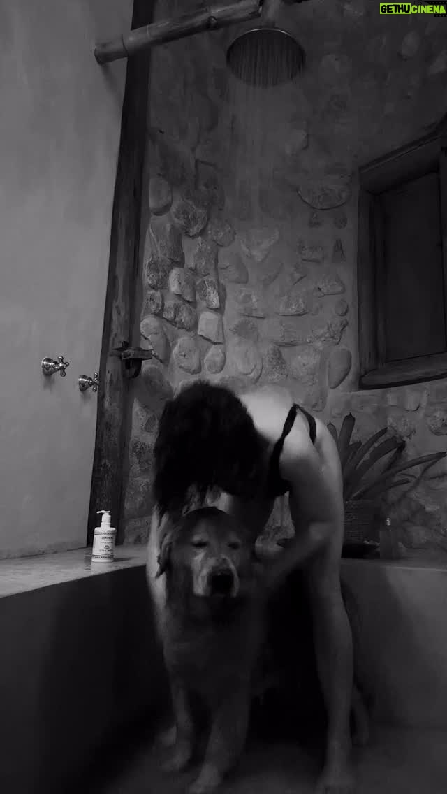 Barbara Paz - 2.4K Likes - o mar serenou quando ela pisou na areia . ( me Fellini and bahia )