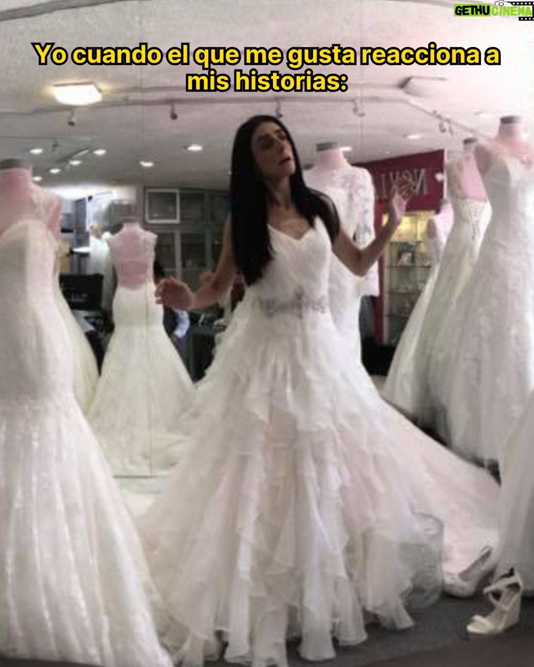 Bárbara Torres - 3 Likes - Casa, perros e hijos 🤪