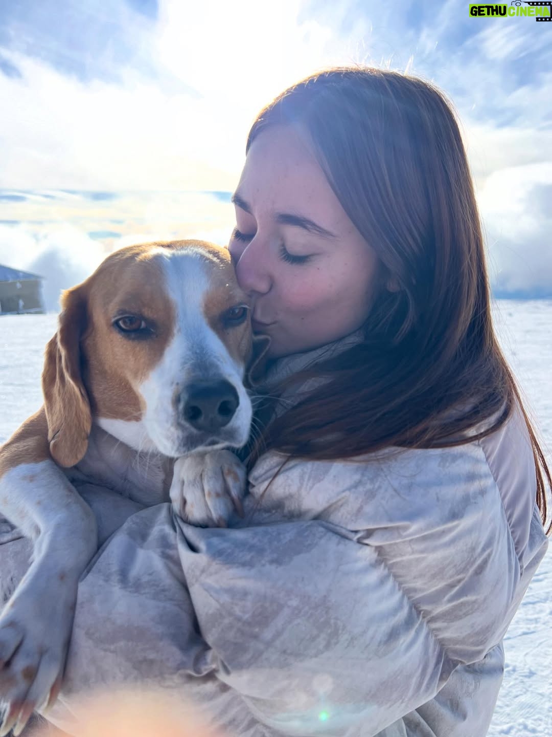 Beatriz Frazão - 11.4K Likes - It’s been a White Christmas ❄️🏔️☃️