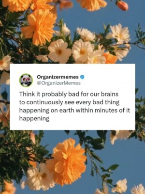 Bethany C. Meyers Instagram - Coming back to the feed with a few saves that made me laugh / cry. HOWS EVERYBODY DOING???