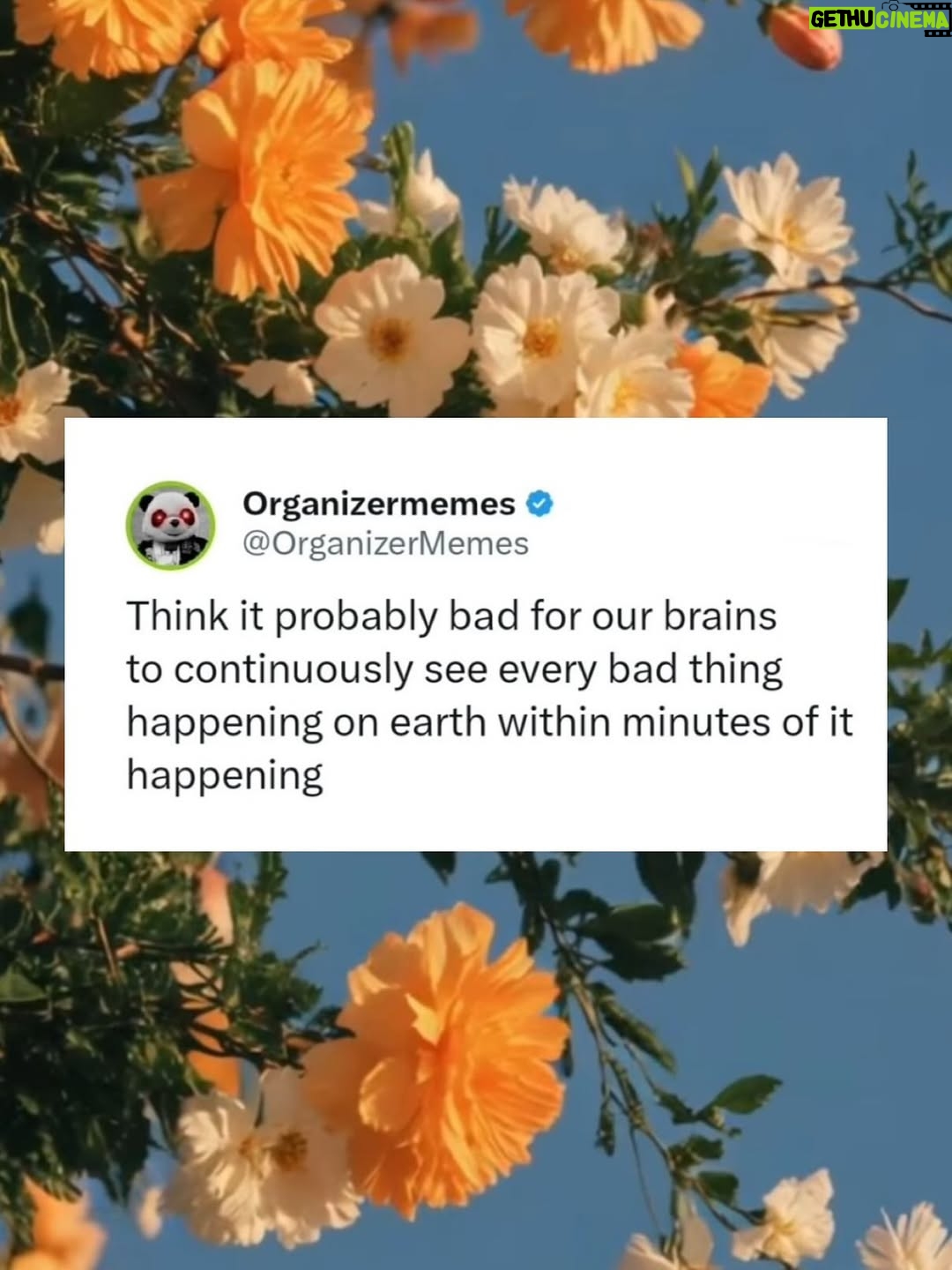 Bethany C. Meyers - 18.5K Likes - Coming back to the feed with a few saves that made me laugh / cry. HOWS EVERYBODY DOING???