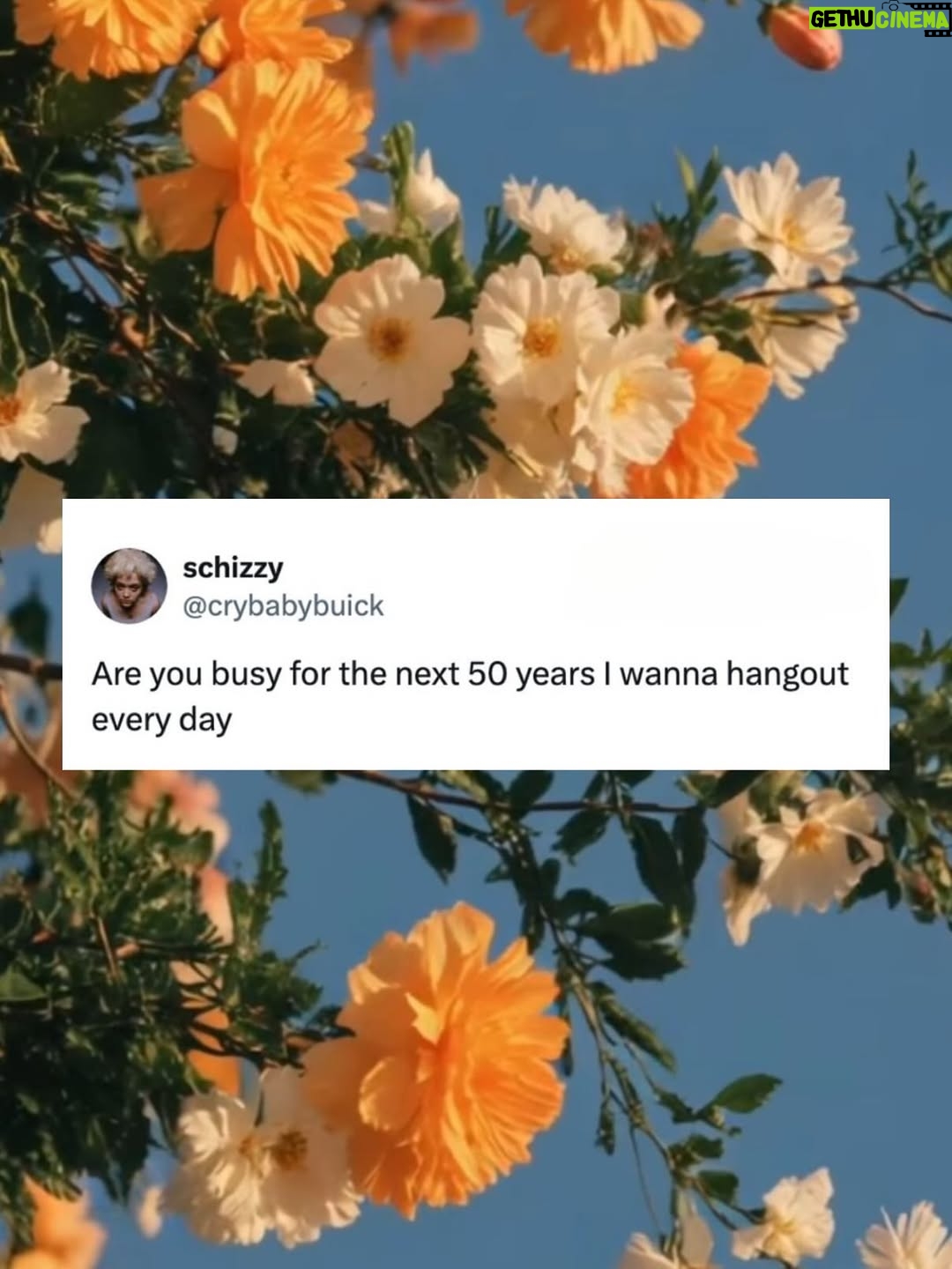 Bethany C. Meyers - 18.5K Likes - Coming back to the feed with a few saves that made me laugh / cry. HOWS EVERYBODY DOING???