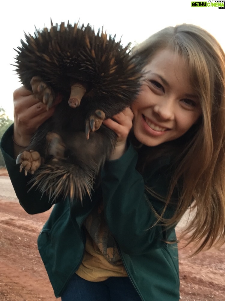 Bindi Irwin - 278.1K Likes - A glimpse into my 2016 camera roll…