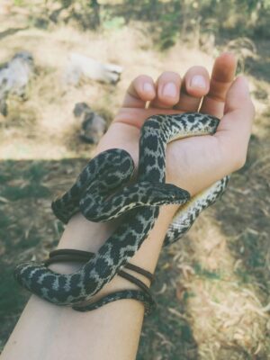 Bindi Irwin Instagram - A glimpse into my 2016 camera roll…