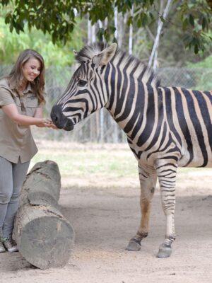 Bindi Irwin Instagram - A glimpse into my 2016 camera roll…