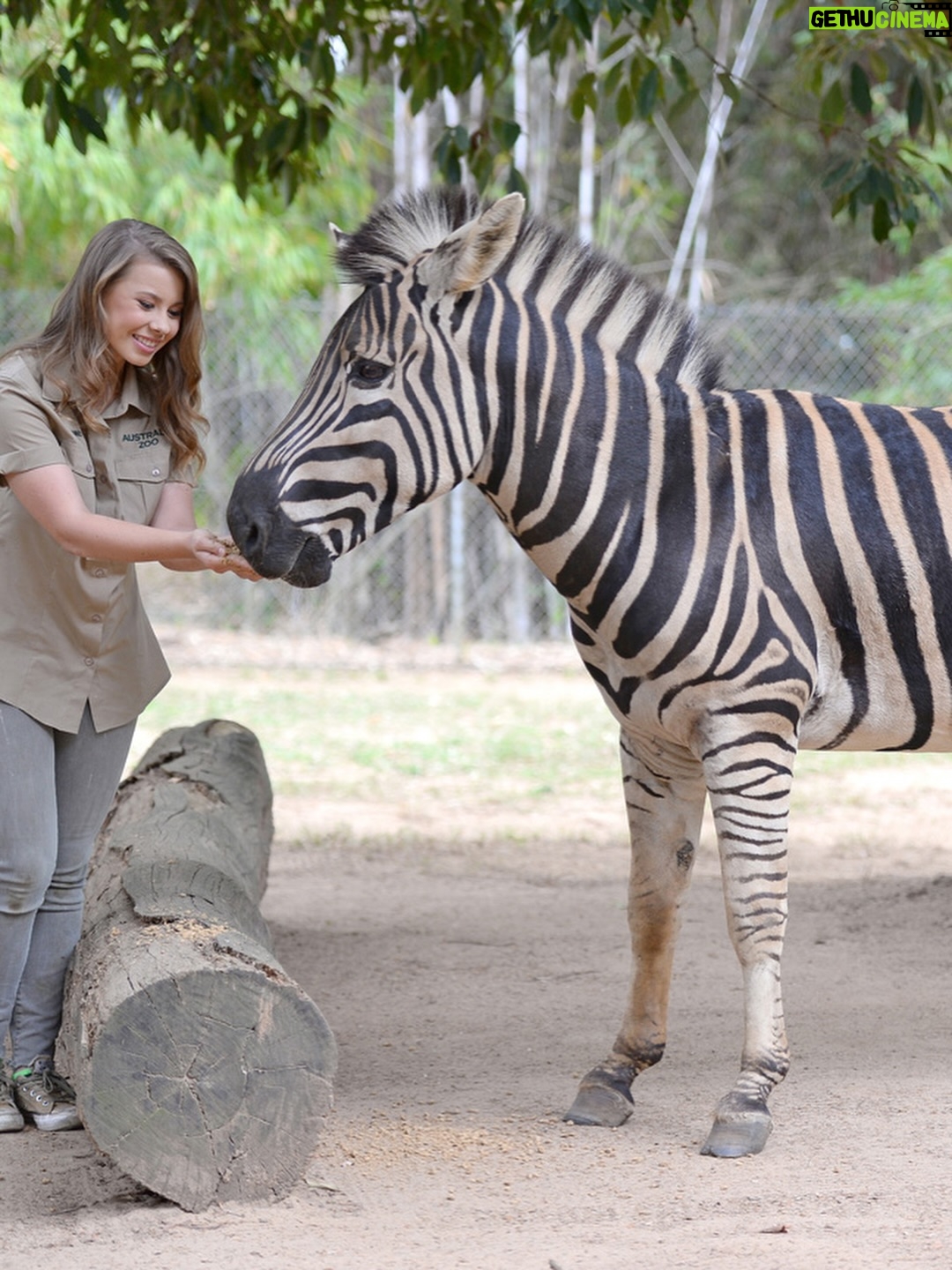 Bindi Irwin - 278.1K Likes - A glimpse into my 2016 camera roll…