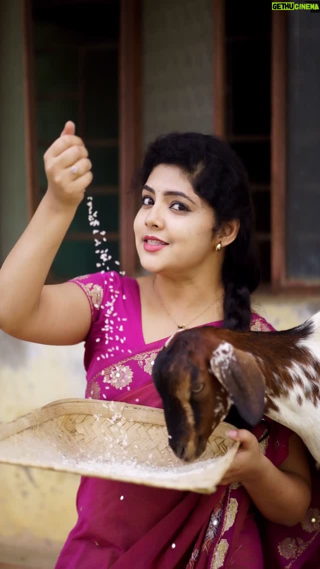 Bindu Gowda - 43.9K Likes - ಅದಲಿ ಬದಲಿ ಆಗೋದ್ರೆ???? 😒