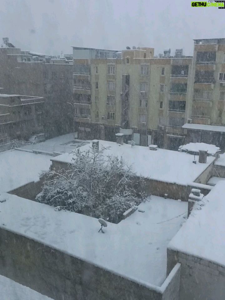 Birgül Ulusoy - 1.3K Likes - #Şanlıurfa dan iyi haftalar sosyal alem🛷❄️