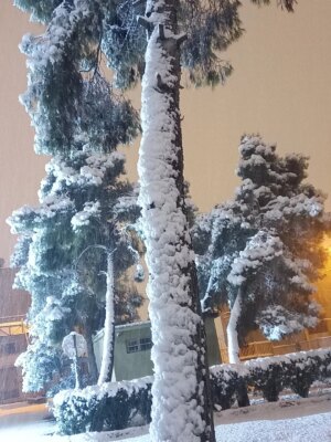 Birgül Ulusoy Instagram - #Şanlıurfa dan iyi haftalar sosyal alem🛷❄️