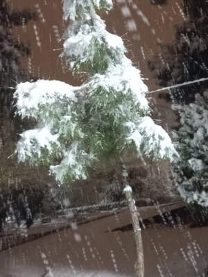 Birgül Ulusoy Instagram - #Şanlıurfa dan iyi haftalar sosyal alem🛷❄️
