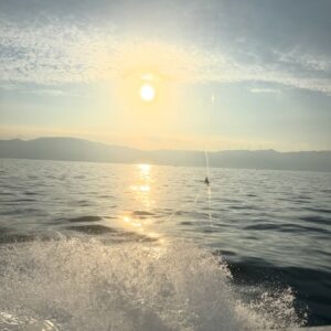 Bisen Aoyagi Instagram - 85cm!ブリ!
最近の趣味は釣りです🎣
普段はアトリエに引きこもりなので、たまに遊ぶ時はめちゃくちゃアクティブに動いてます!
釣り、楽しくてたまらん。
命に感謝して、美味しくいただきました。
熟成させたブリの美味しさは格別でした!
最近は自分で捌けるようになりました🐟
#青物
#釣り
#fishing
#淡路島