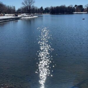 Bonnie Mbuli Instagram - That sweet balance when it’s cold enough for snow but the sun wants a piece of the action and its MLK day, one last frolic outside before the new semester commences tomorrow and timing becomes everything.It’s been a soul awakening winter break. ❤️