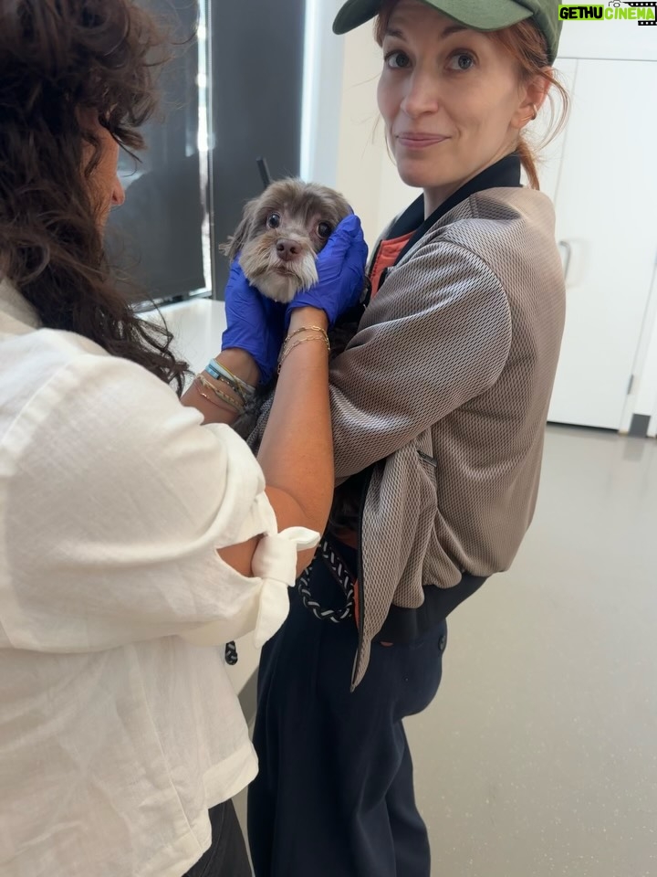 Britt Lower - 23.7K Likes - Bow-tie was being surrendered the moment we walked into @animalhaven to meet Vinny’s litter. 
It was kismet. 
We’ll never forget the way he looked into our eyes and changed our lives. 
🥹

Thank you, Tiffany at @animalhaven🫶🏻

You can join me in giving back this #GivingTuesday by supporting @animalhaven and the work they do to save lives.

Every year, millions of pets face hunger, homelessness, and heartbreaking neglect. Shelters like Animal Haven are often their only lifeline, providing nutritious food, warm bedding, and critical care to animals with nowhere else to go. Any gift, no matter the size, can and will make a difference for animals in need!

If you donate before midnight on 12/2, your gift is MATCHED, dollar for dollar, up to $50k! Meaning gifts will go twice as far, ensuring animals have a future to look forward to.

Link in bio.