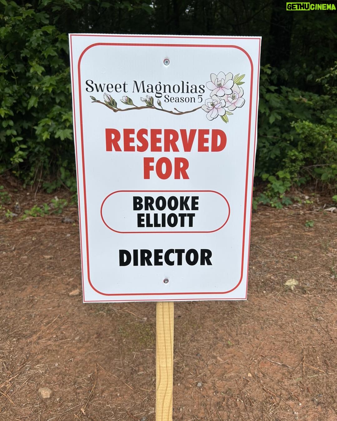 Brooke Elliott - 10K Likes - Excited to finally share that I made my Directorial Debut with Season 5 of Sweet Magnolias! It was beyond thrilling and an invaluable experience. Can’t wait for you to see it and honored to become part of the Directors Guild Of America.