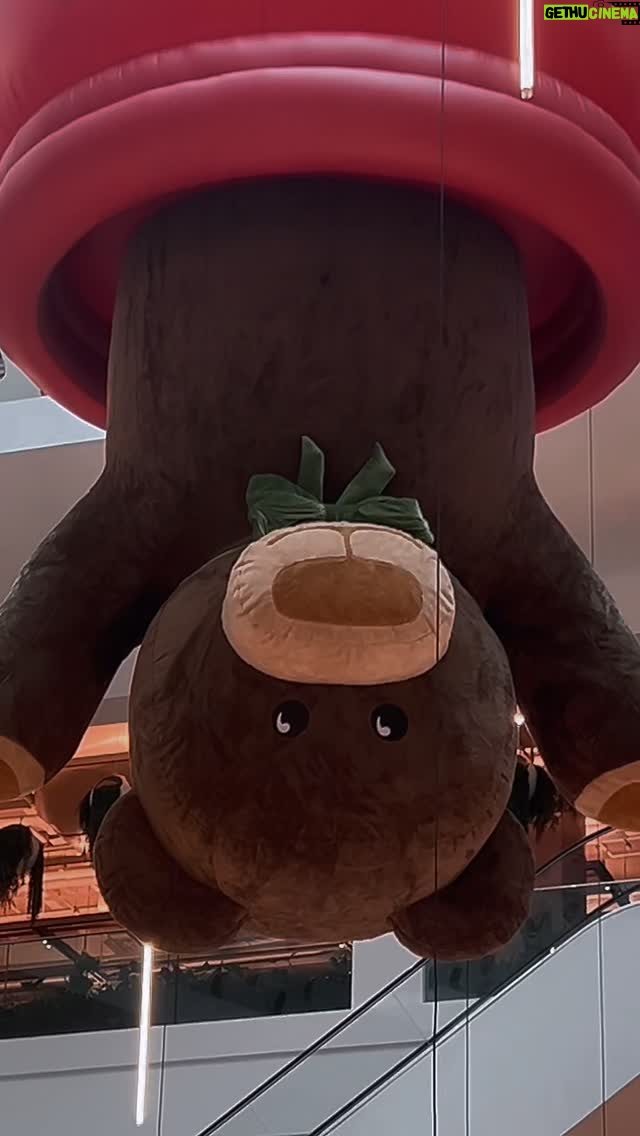 Camila Lucciola - 81 Likes - chegou a época mais esperada do meu ano… o natal.
quando encontro a minha família, onde relembro e crio memórias novas que me abastecem de afeto pro ano inteiro.
natal na minha casa é amor, confusão e cozinha cheia de pão delícia, risadas e choros, sem quê nem pra quê. é amigo secreto, presente e presença. 

e pra aproveitar o máximo de tempo possível em casa, eu resolvo a vida inteirinha na @papelcraft , lá tem presente pra todos os gostos e pra todo mundo. afinal, cada minuto conta pra estar com quem a gente ama!

*publi
