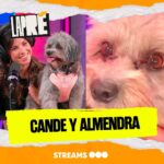 Candelaria Molfese