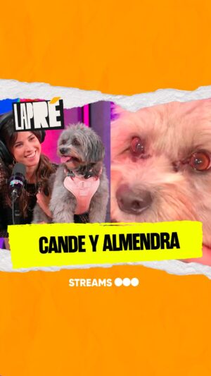 Candelaria Molfese Instagram - “Animensé a adoptar” 🐶 La emotiva historia de @candemolfese con su perra Almendra ❤️🥺

#LAPRÉ | 19:30hs de lunes a jueves por nuestro canal de Youtube 📲 #StreamsTelefe